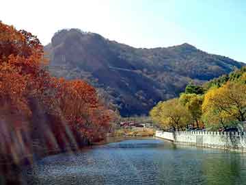 澳彩资料免费长期公开，天狮空气净化器